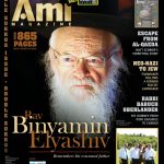 001_ami289_cover_US