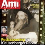 ami363_cover.indd