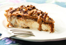Cinnamon Swirl // Vanilla Ice Cream Pie