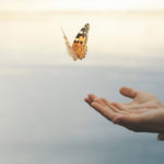 Butterfly,Flies,Free,From,A,Woman’s,Hand